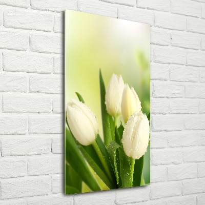Quadro vetro verticale Tulipani bianchi
