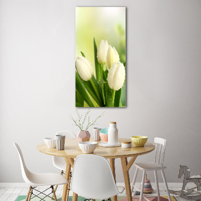 Quadro vetro verticale Tulipani bianchi