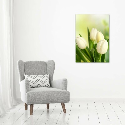 Quadro vetro verticale Tulipani bianchi