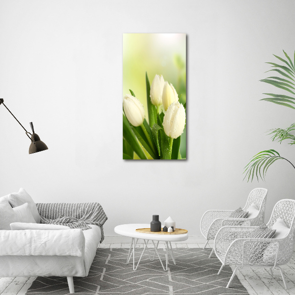 Quadro vetro verticale Tulipani bianchi