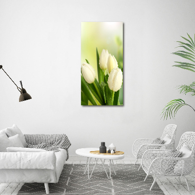 Quadro vetro verticale Tulipani bianchi