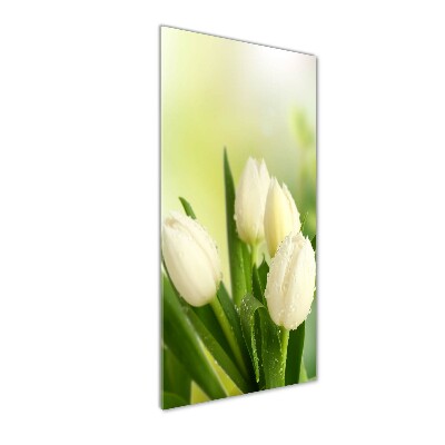 Quadro vetro verticale Tulipani bianchi
