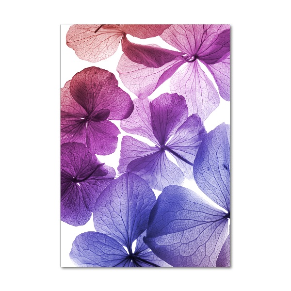 Quadro in vetro verticale Fiori viola