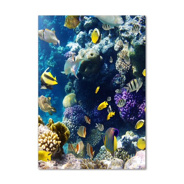 Quadro di vetro verticale Barriera corallina