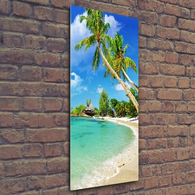 Quadro di vetro verticale Spiaggia tropicale