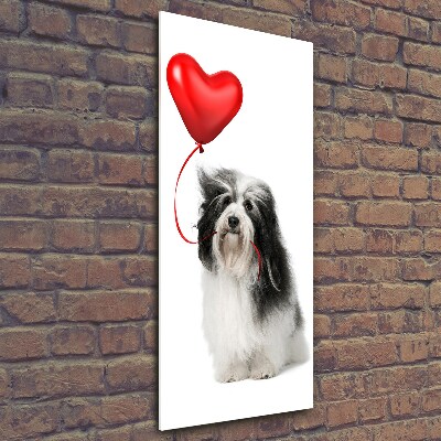 Quadro vetro verticale Havanese con un palloncino