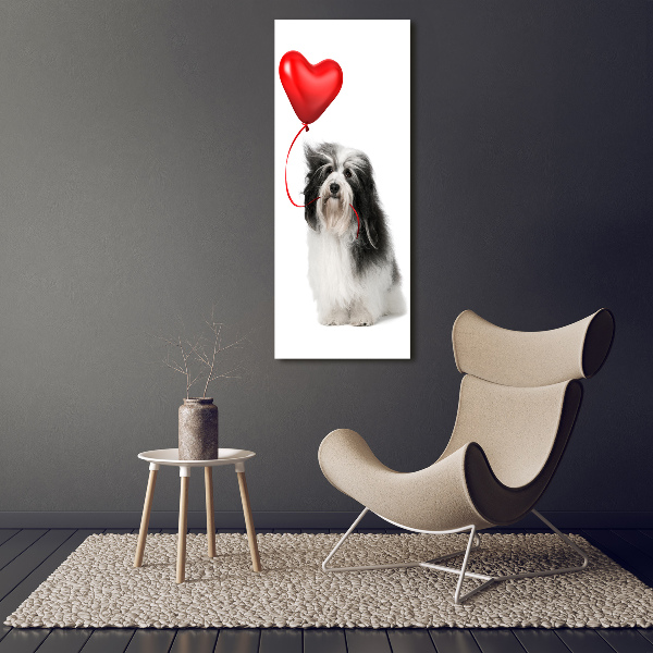 Quadro vetro verticale Havanese con un palloncino