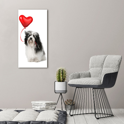 Quadro vetro verticale Havanese con un palloncino