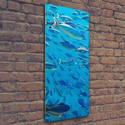 Quadro di vetro verticale Pesce corallo