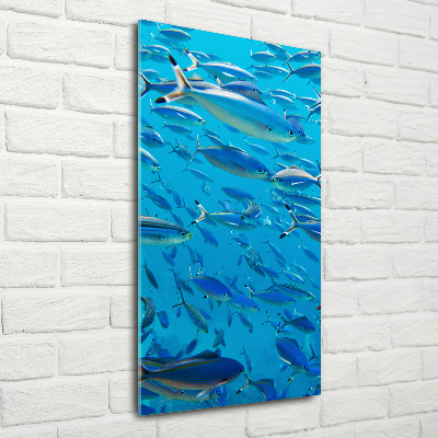 Quadro di vetro verticale Pesce corallo