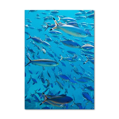 Quadro di vetro verticale Pesce corallo