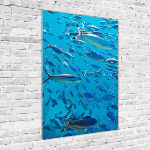 Quadro di vetro verticale Pesce corallo