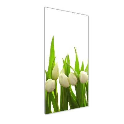 Quadro vetro verticale Tulipani bianchi