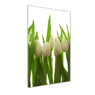 Quadro in vetro verticale Tulipani bianchi