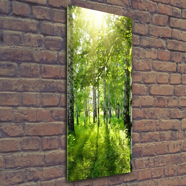 Quadro in vetro verticale Foresta di betulle