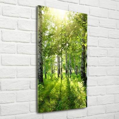 Quadro in vetro verticale Foresta di betulle