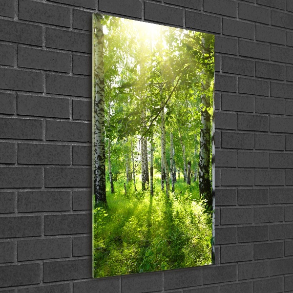 Quadro in vetro verticale Foresta di betulle