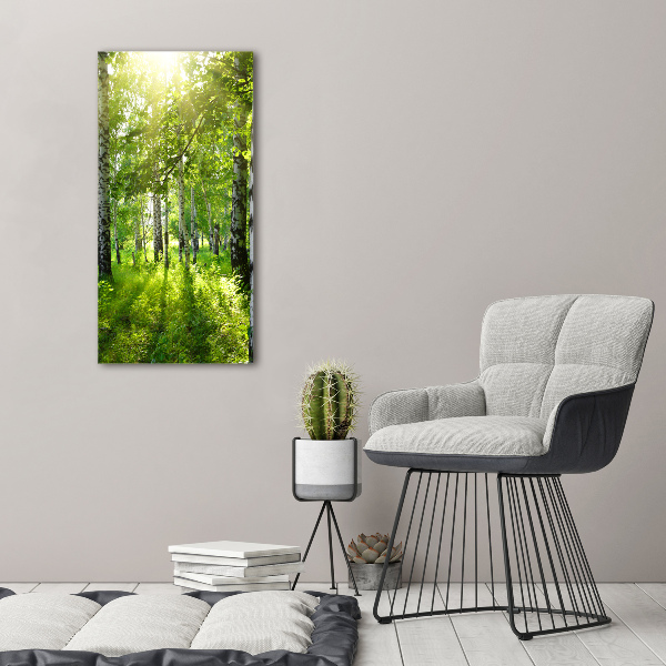 Quadro in vetro verticale Foresta di betulle