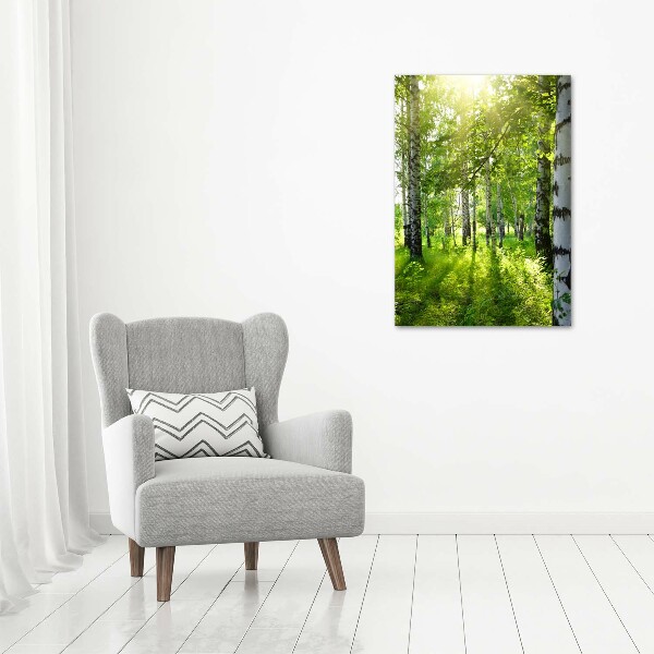 Quadro in vetro verticale Foresta di betulle