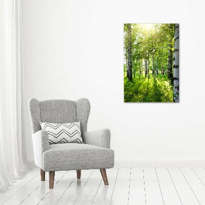 Quadro in vetro verticale Foresta di betulle