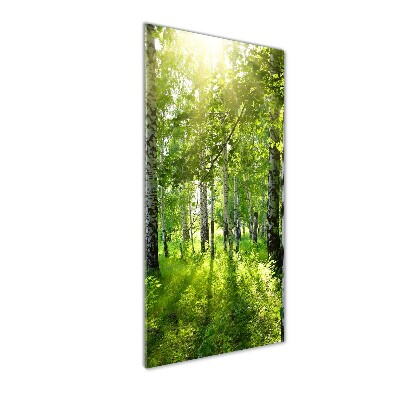 Quadro in vetro verticale Foresta di betulle