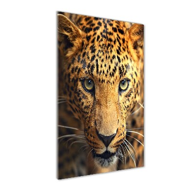 Quadro vetro verticale Leopardo