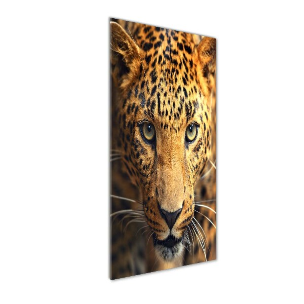 Quadro vetro verticale Leopardo
