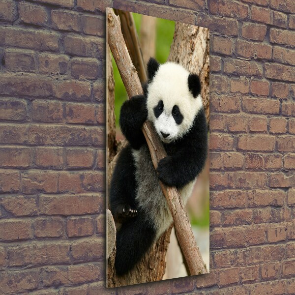 Quadro di vetro verticale Un panda su un albero