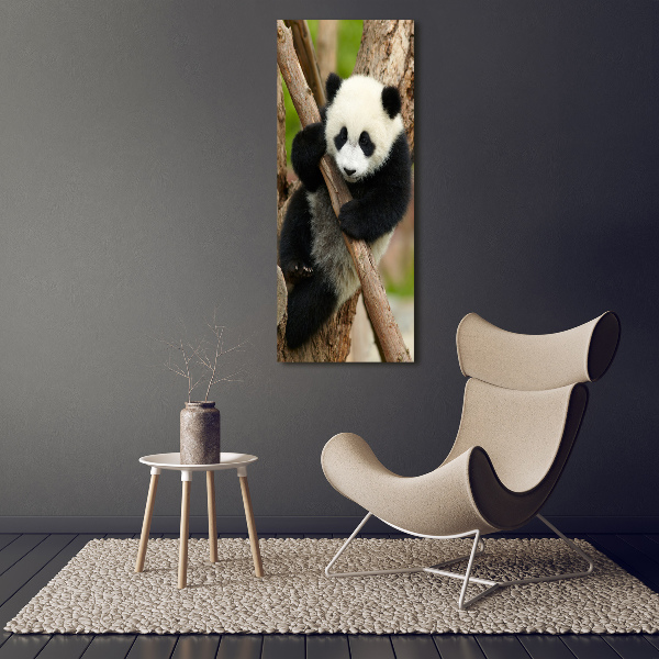 Quadro di vetro verticale Un panda su un albero