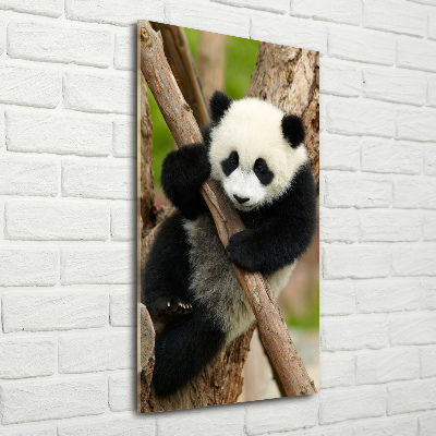 Quadro di vetro verticale Un panda su un albero