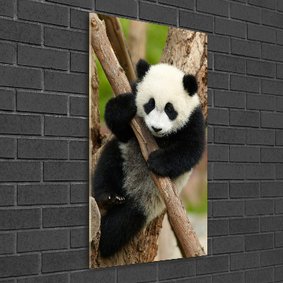 Quadro di vetro verticale Un panda su un albero