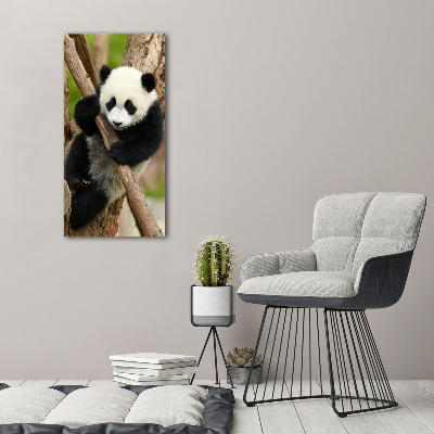 Quadro di vetro verticale Un panda su un albero