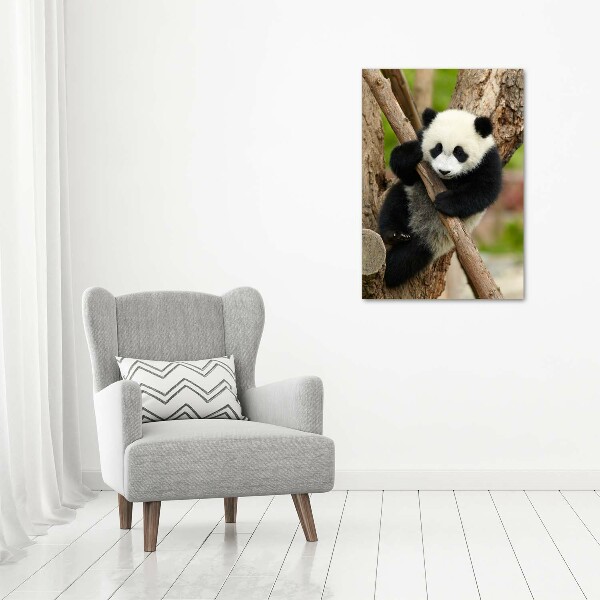 Quadro di vetro verticale Un panda su un albero