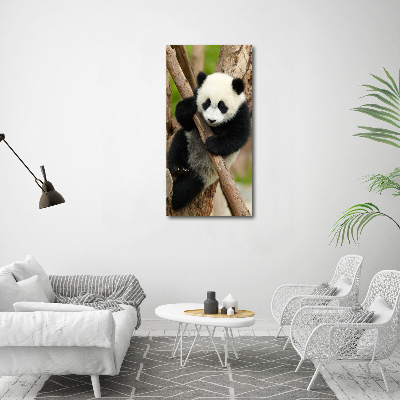 Quadro di vetro verticale Un panda su un albero