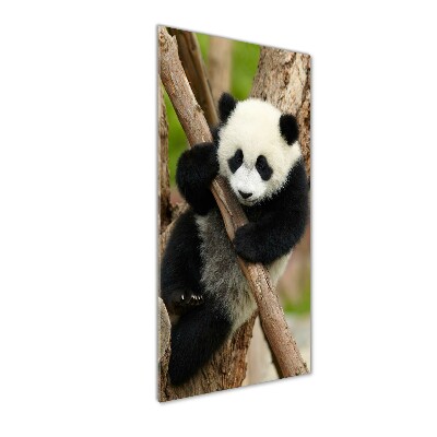 Quadro di vetro verticale Un panda su un albero