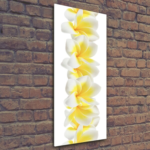 Quadro di vetro verticale Plumeria