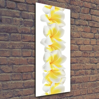 Quadro di vetro verticale Plumeria