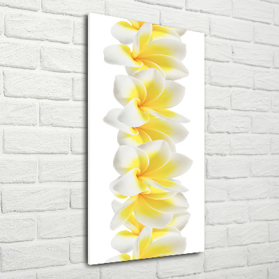 Quadro di vetro verticale Plumeria
