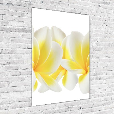 Quadro di vetro verticale Plumeria