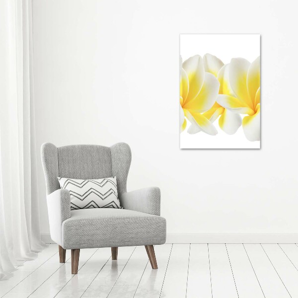 Quadro di vetro verticale Plumeria