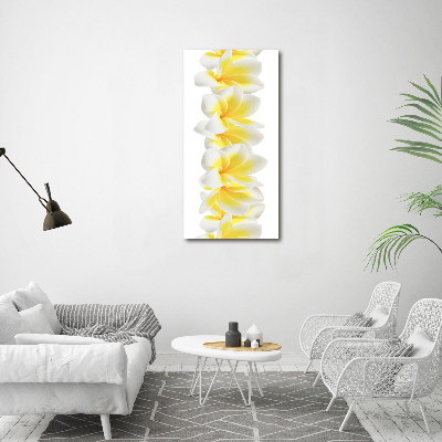 Quadro di vetro verticale Plumeria
