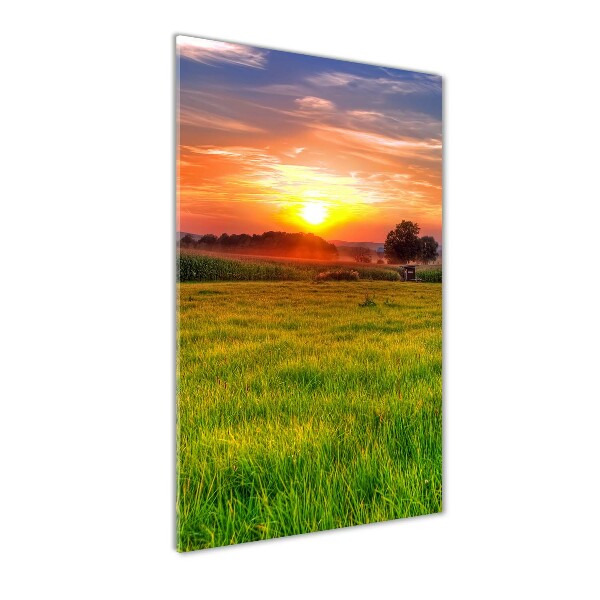 Quadro stampa su vetro verticale Tramonto