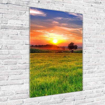 Quadro stampa su vetro verticale Tramonto