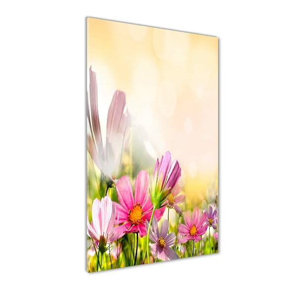 Quadro vetro verticale Fiori selvatici