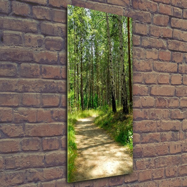 Quadro in vetro verticale Foresta di betulle