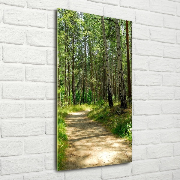 Quadro in vetro verticale Foresta di betulle