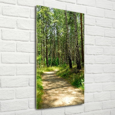 Quadro in vetro verticale Foresta di betulle