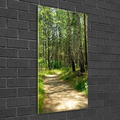 Quadro in vetro verticale Foresta di betulle