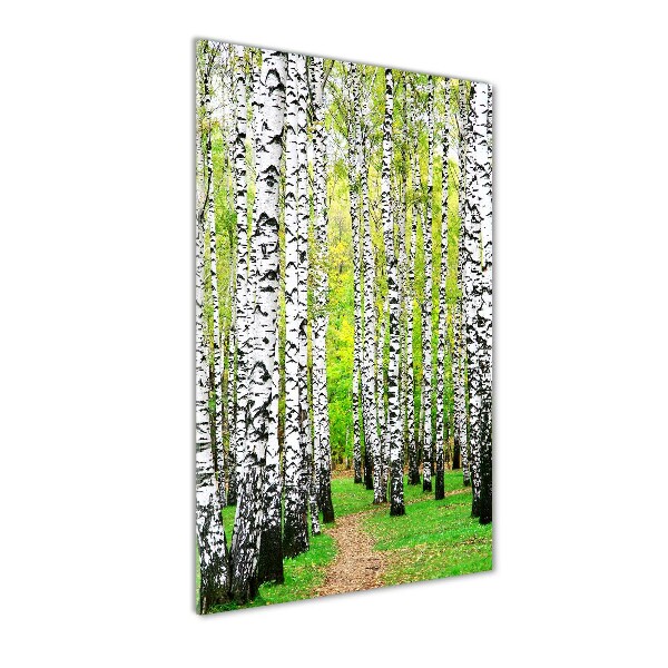 Quadro di vetro verticale Foresta di betulle