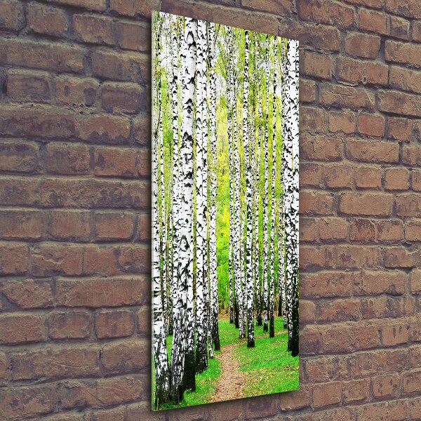 Quadro di vetro verticale Foresta di betulle
